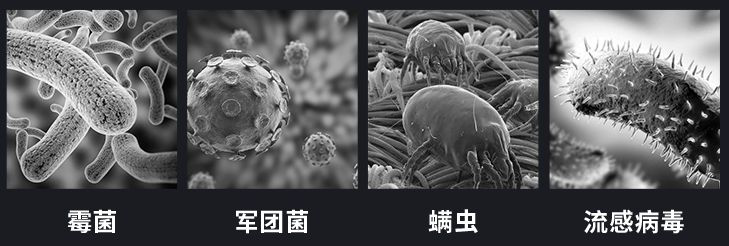 细菌病毒